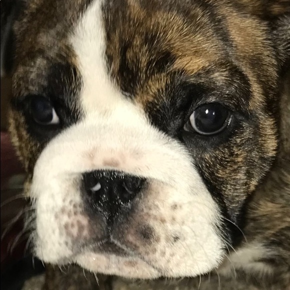 5 Star Seller - Picture 5 of 10